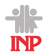 logo inp